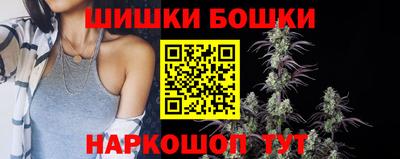 трава Гатчина