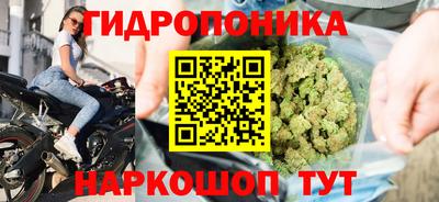 трава Гатчина